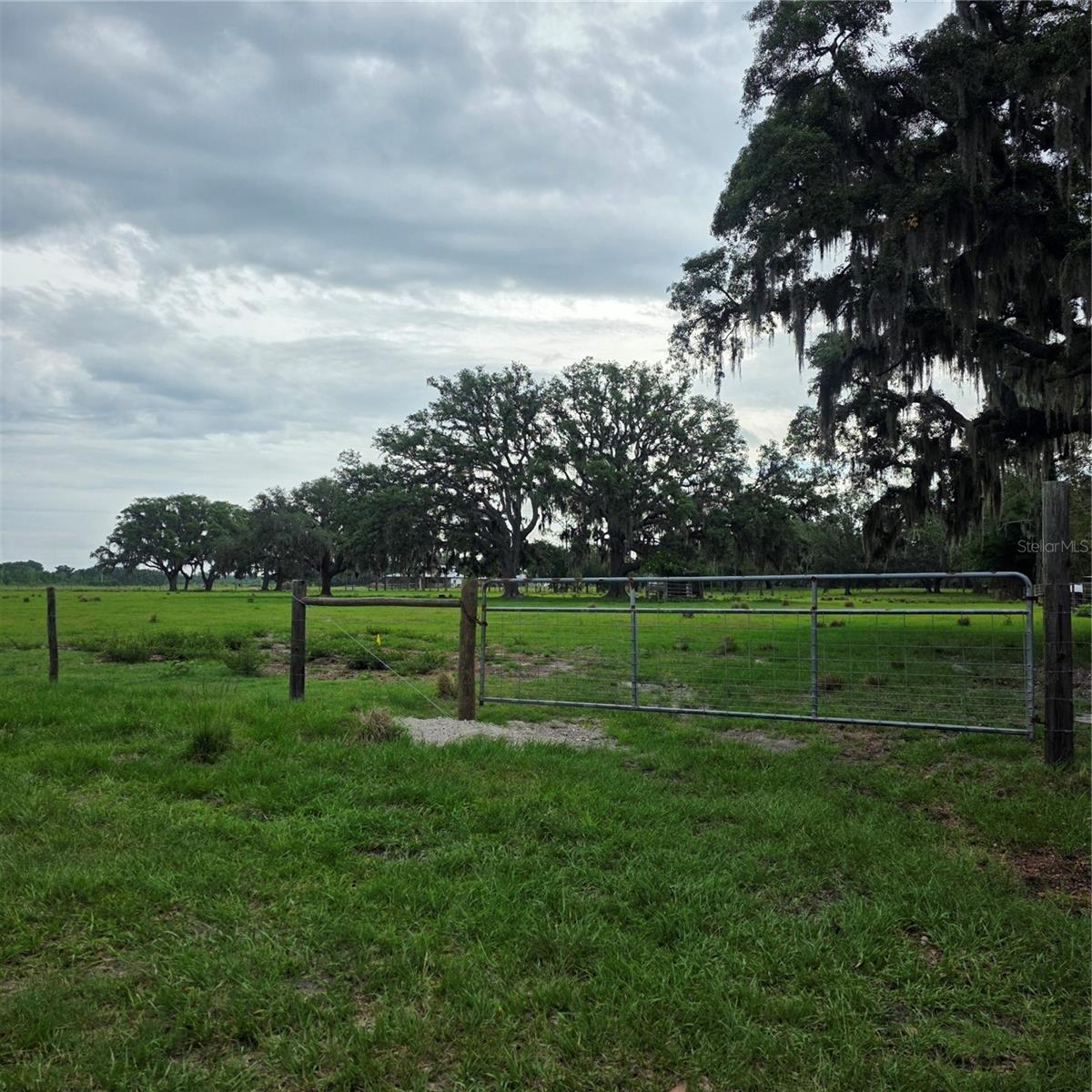 VERNON DAIRY, SPRING HILL, FL, 34610
