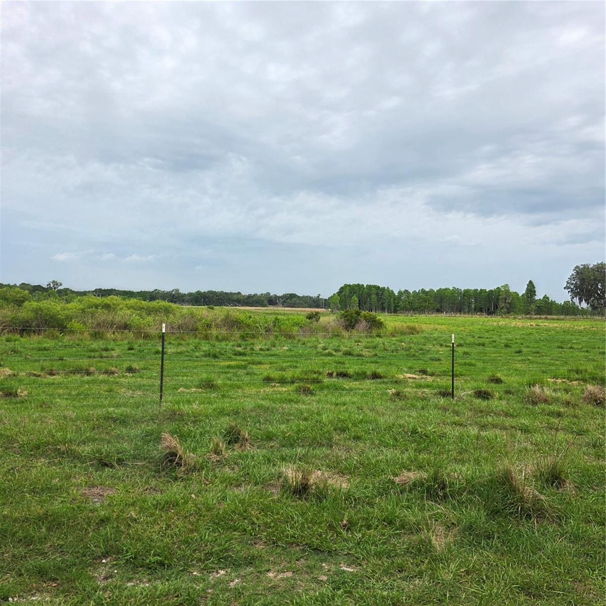VERNON DAIRY, SPRING HILL, FL, 34610