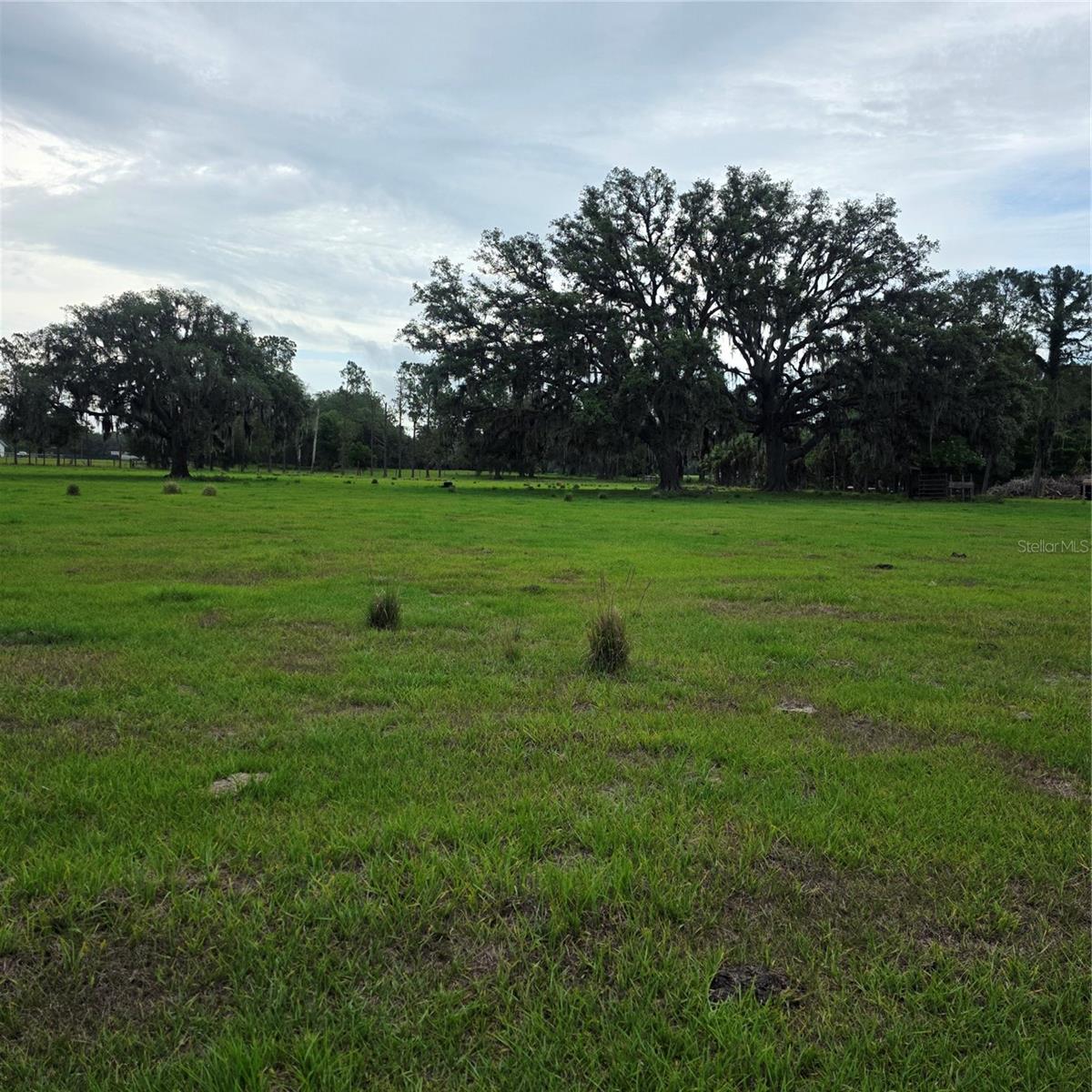 VERNON DAIRY, SPRING HILL, FL, 34610