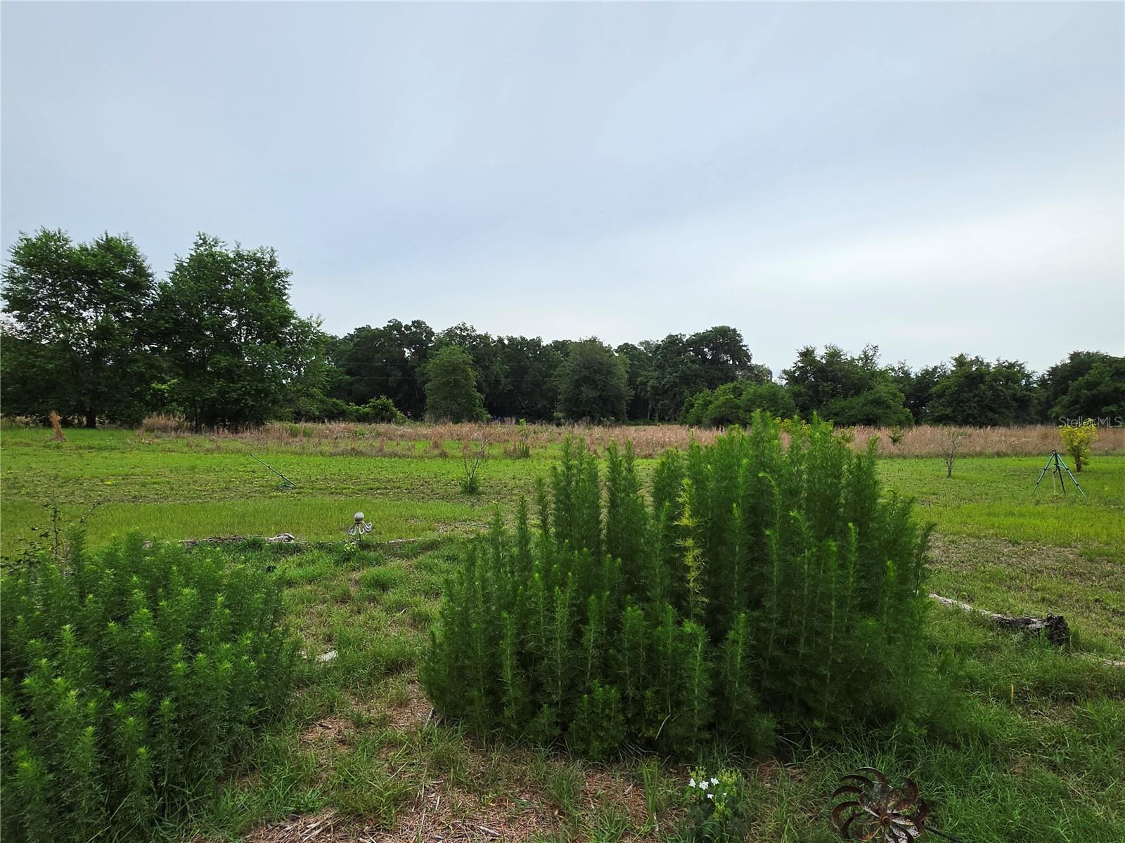 2510 NE 165TH ST, CITRA, FL, 32113