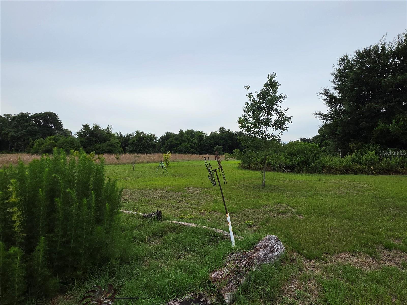 2510 NE 165TH ST, CITRA, FL, 32113