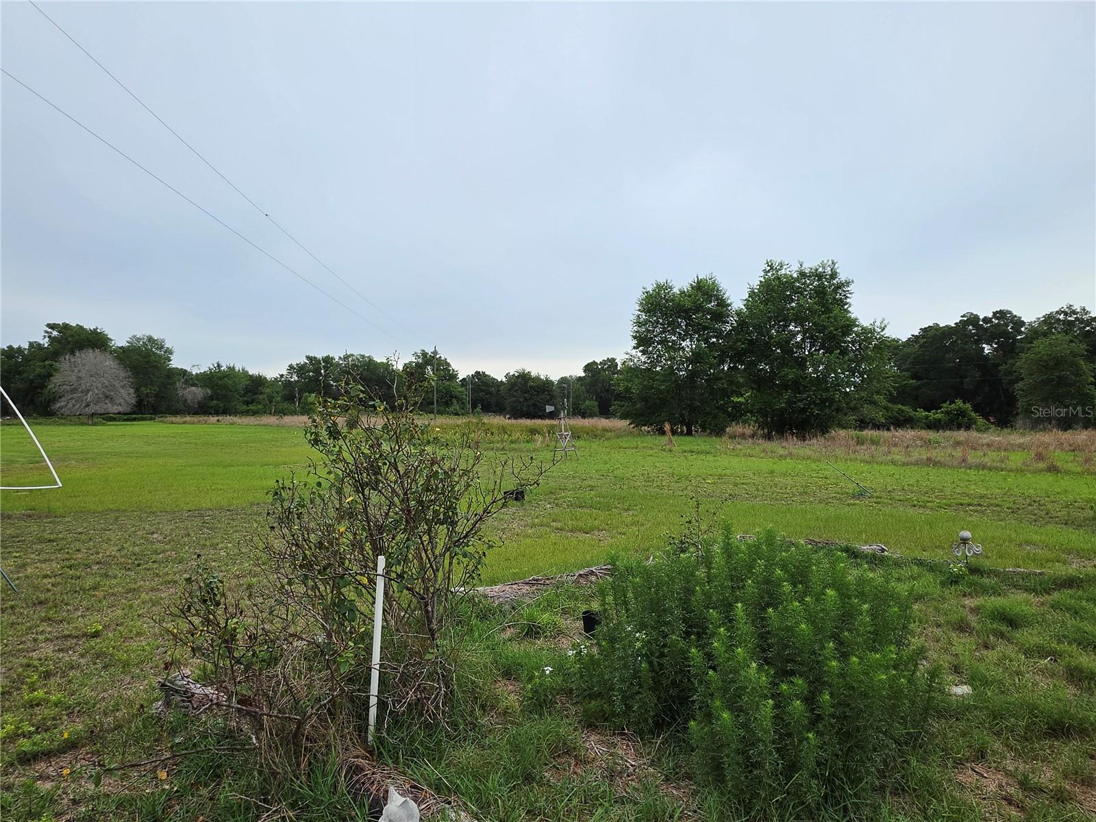 2510 NE 165TH ST, CITRA, FL, 32113