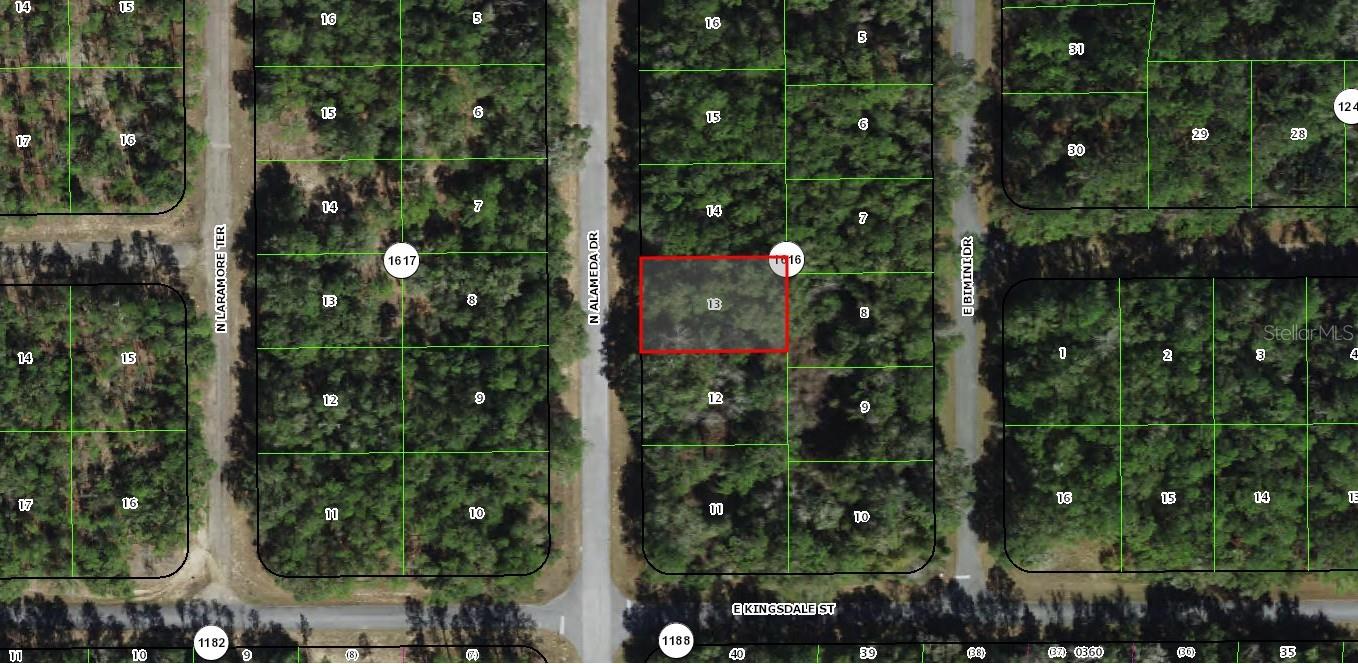 9085 N ALAMEDA DR, CITRUS SPRINGS, FL, 34434