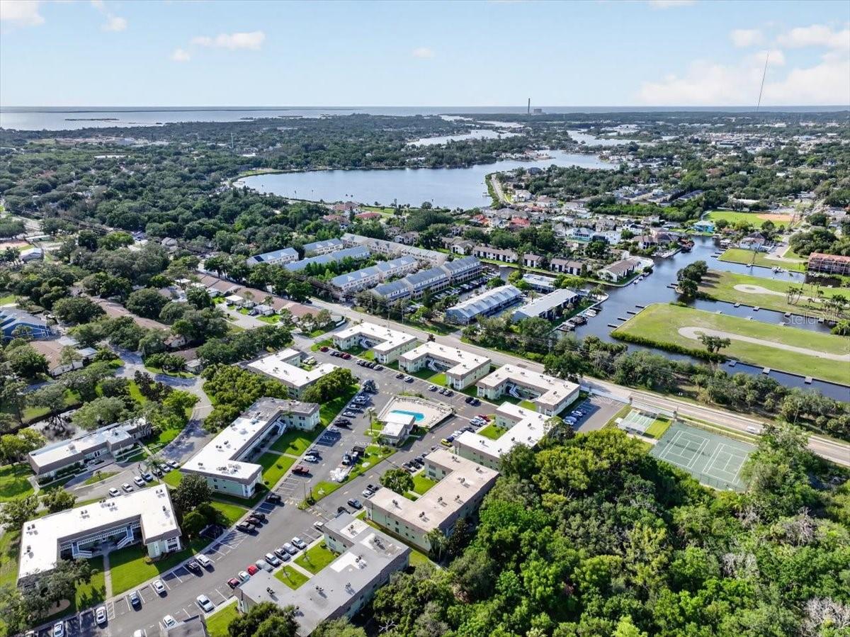 1250 S PINELLAS AVE #306, TARPON SPRINGS, FL, 34689
