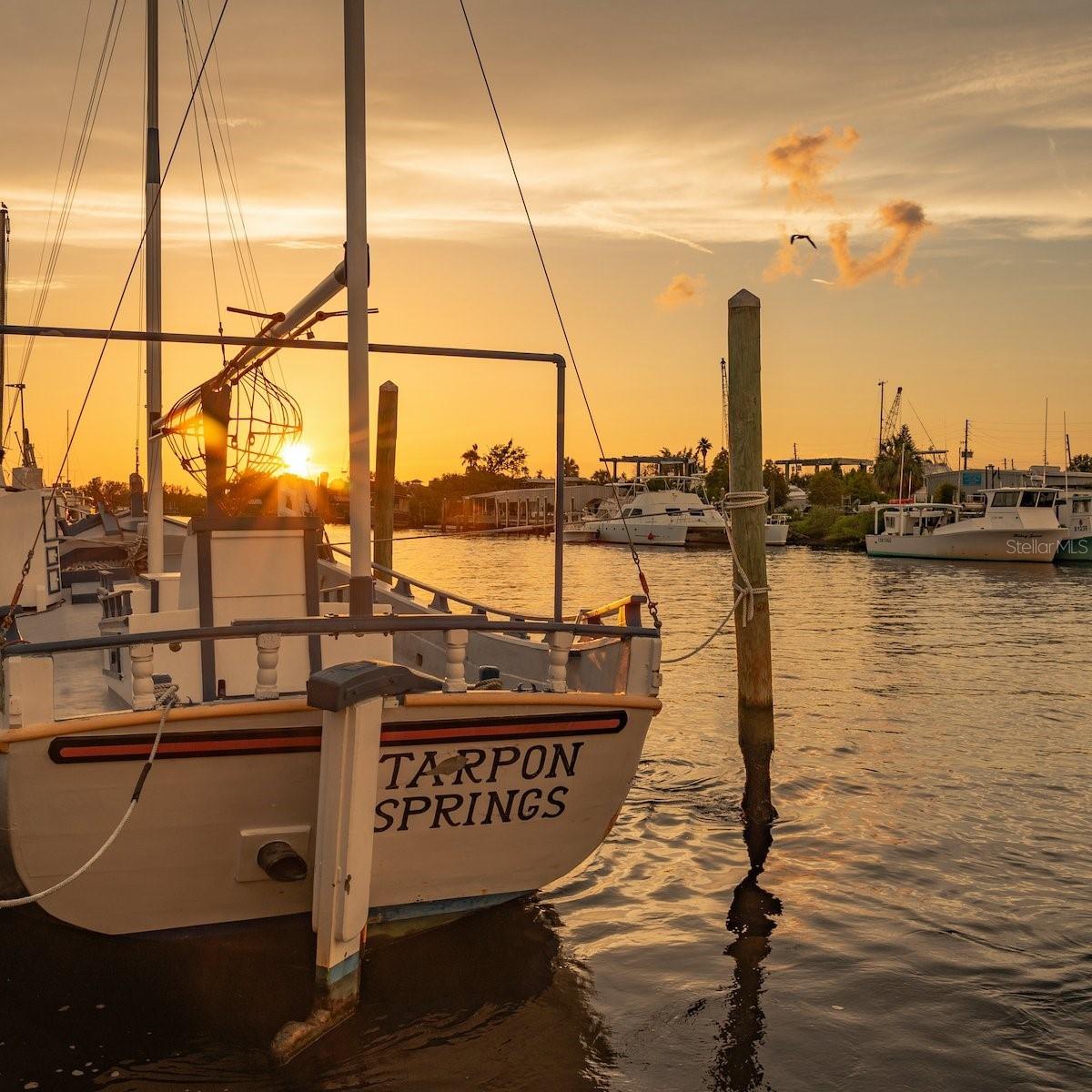 1250 S PINELLAS AVE #306, TARPON SPRINGS, FL, 34689