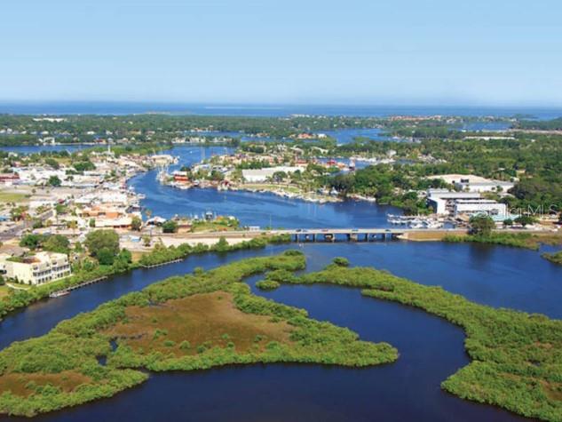 1250 S PINELLAS AVE #306, TARPON SPRINGS, FL, 34689