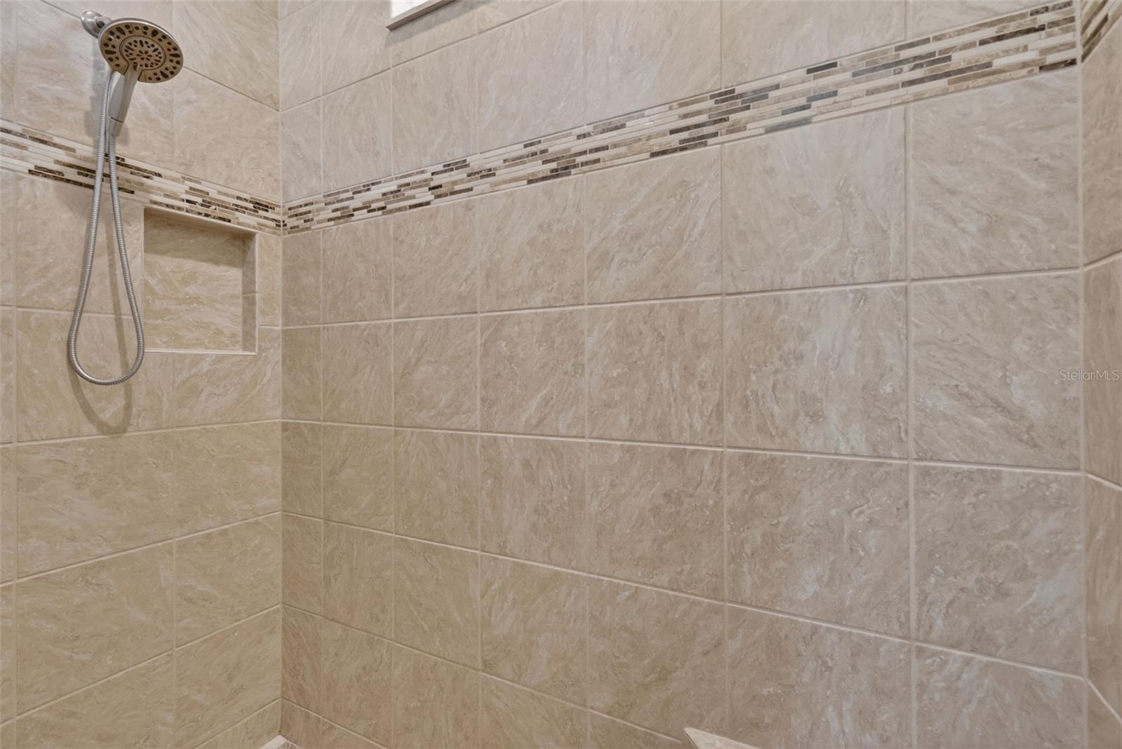 10131 LAKE MIONA WAY, OXFORD, FL, 34484