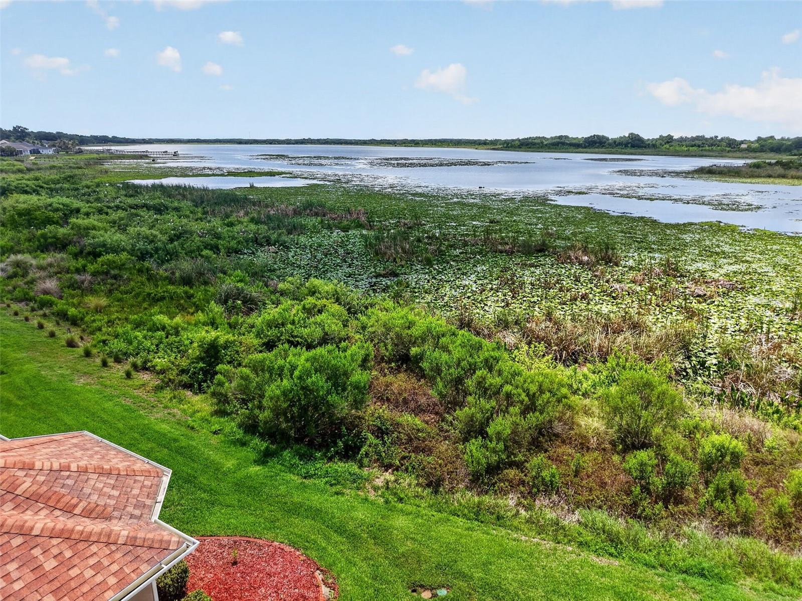10131 LAKE MIONA WAY, OXFORD, FL, 34484