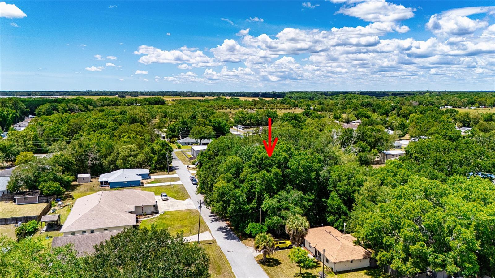 SE 157TH ST, SUMMERFIELD, FL, 34491