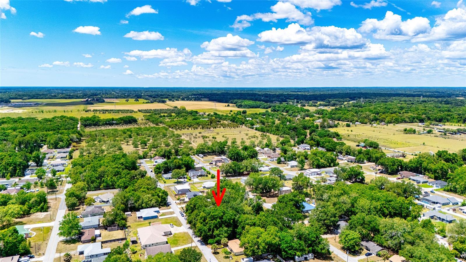 SE 157TH ST, SUMMERFIELD, FL, 34491