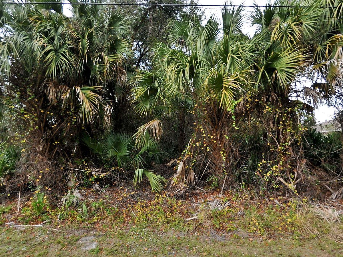 JULIA TER, NORTH PORT, FL, 34286