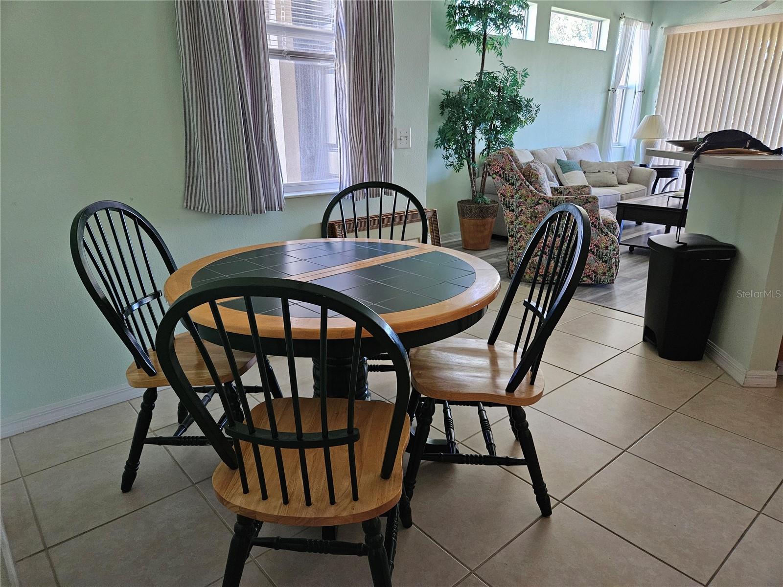 1161 JAMESON GREENS DR, SUN CITY CENTER, FL, 33573