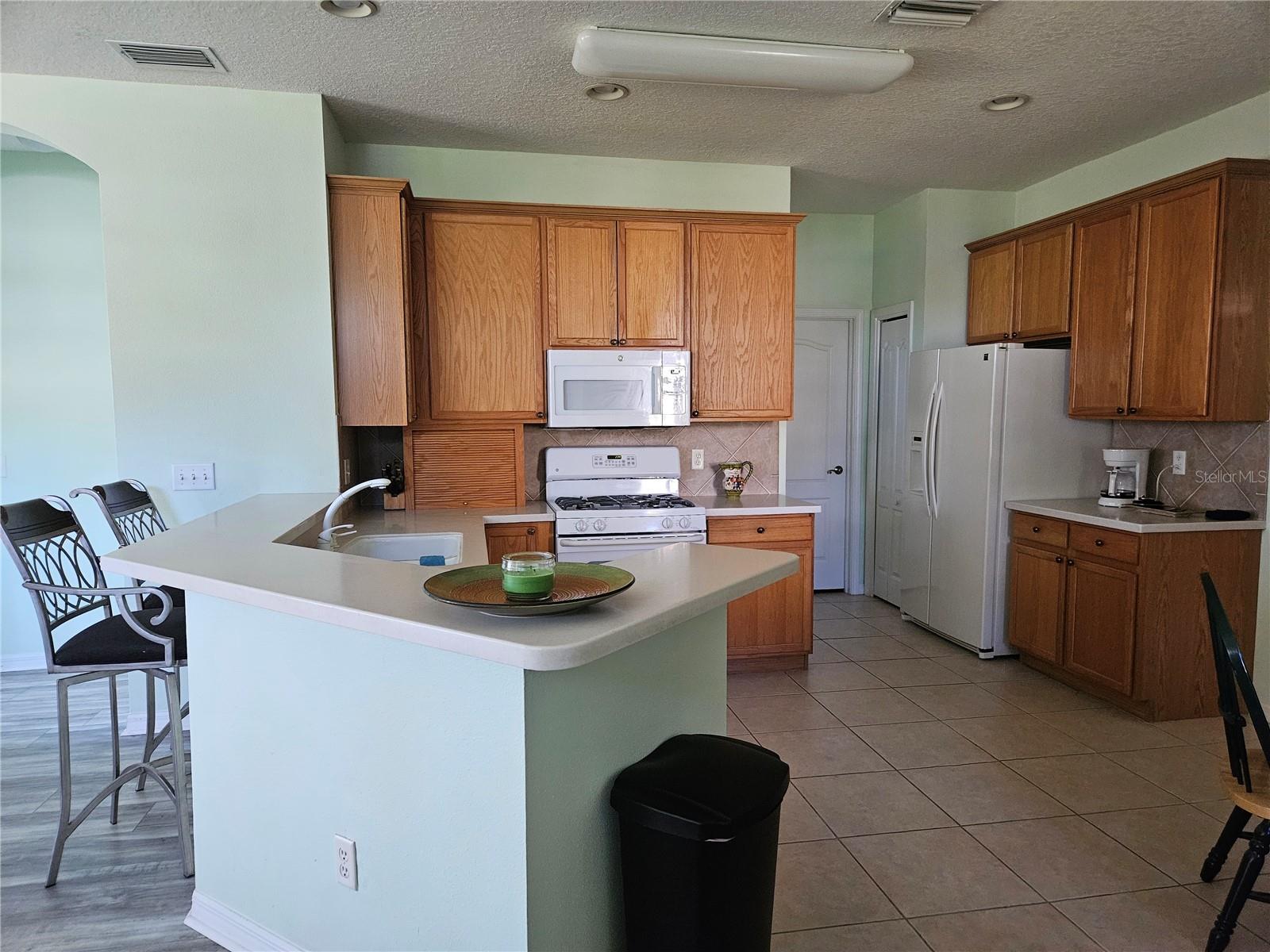 1161 JAMESON GREENS DR, SUN CITY CENTER, FL, 33573