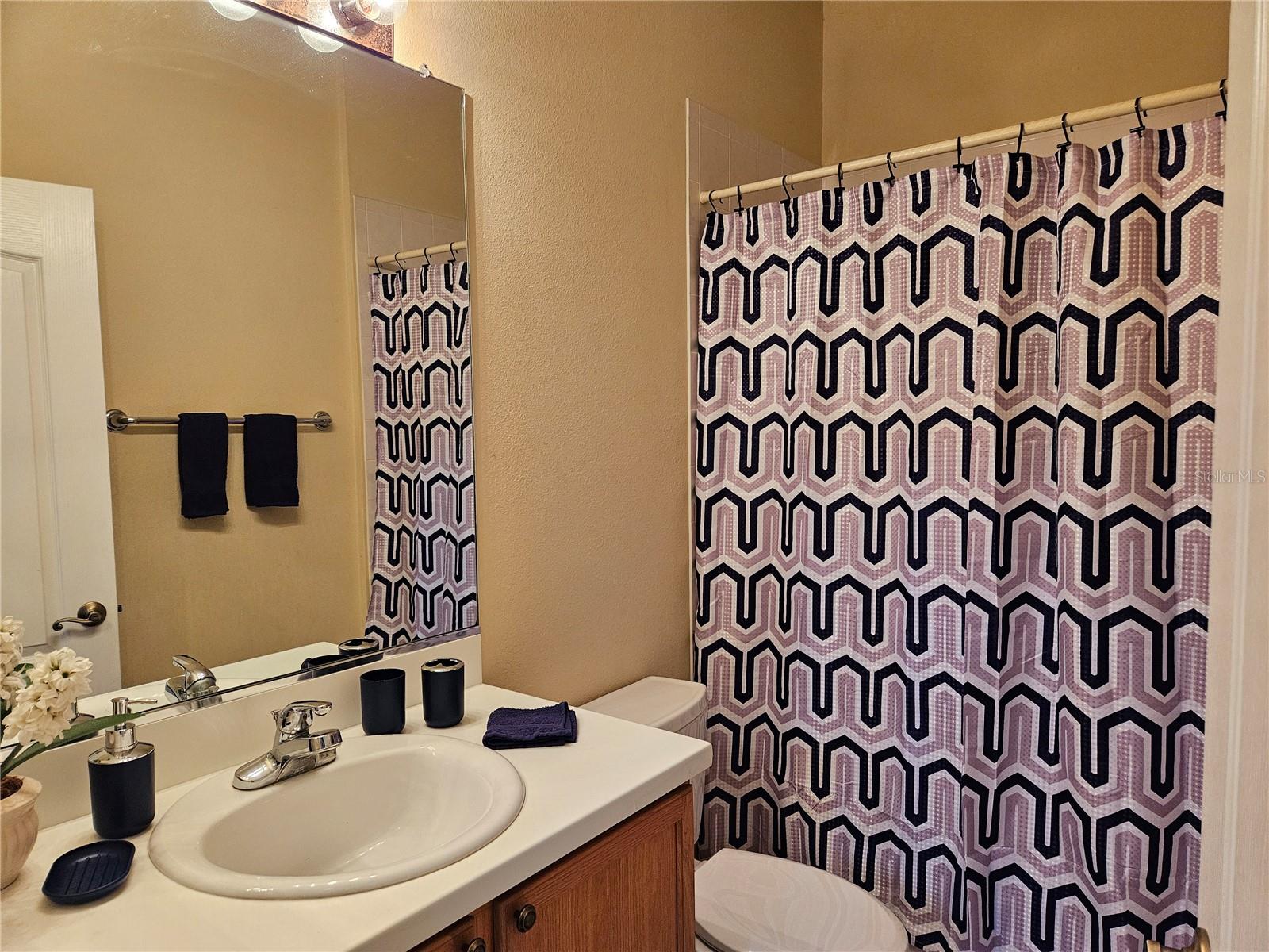 1161 JAMESON GREENS DR, SUN CITY CENTER, FL, 33573