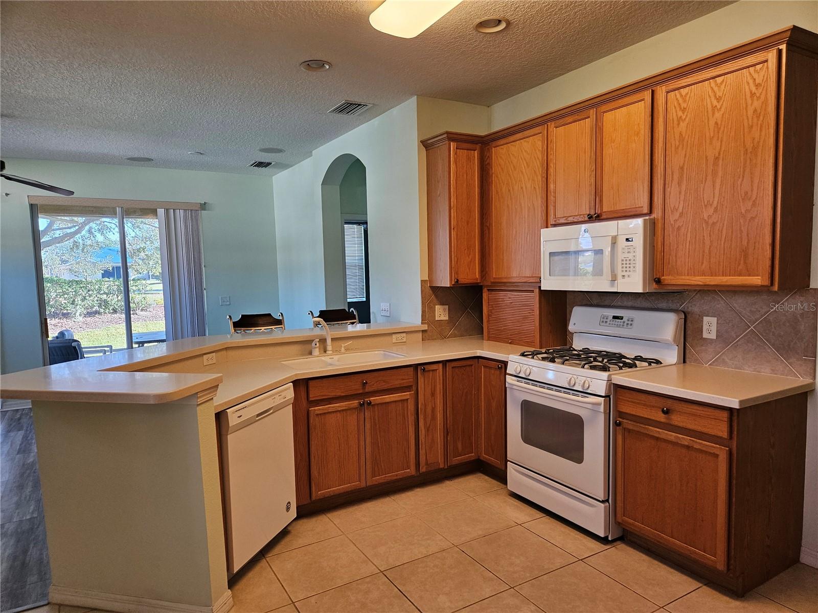 1161 JAMESON GREENS DR, SUN CITY CENTER, FL, 33573