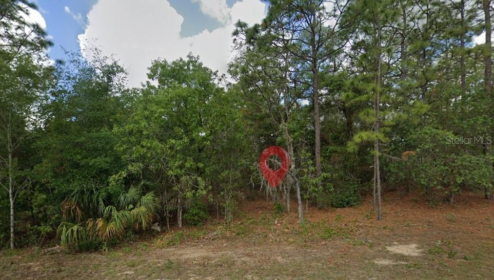 796 N KENSINGTON AVE, LECANTO, FL, 34461