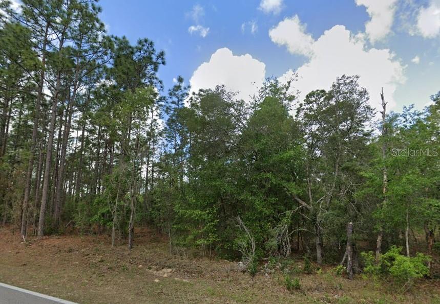 796 N KENSINGTON AVE, LECANTO, FL, 34461