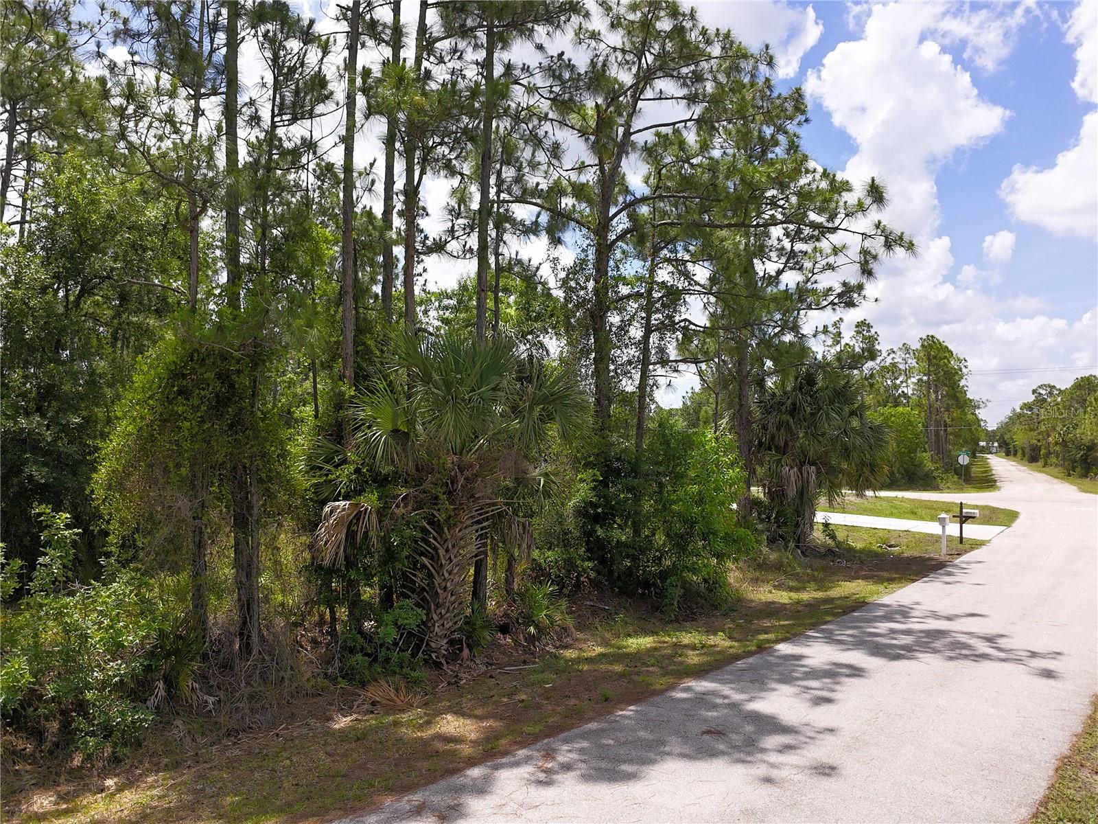 12262 RIPPLE DR, PUNTA GORDA, FL, 33955