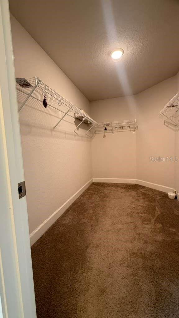 365 CITRUS POINTE DR, DAVENPORT, FL, 33837
