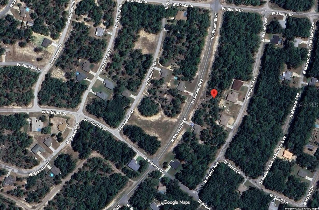 10697 N ELKCAM BLVD, CITRUS SPRINGS, FL, 34433