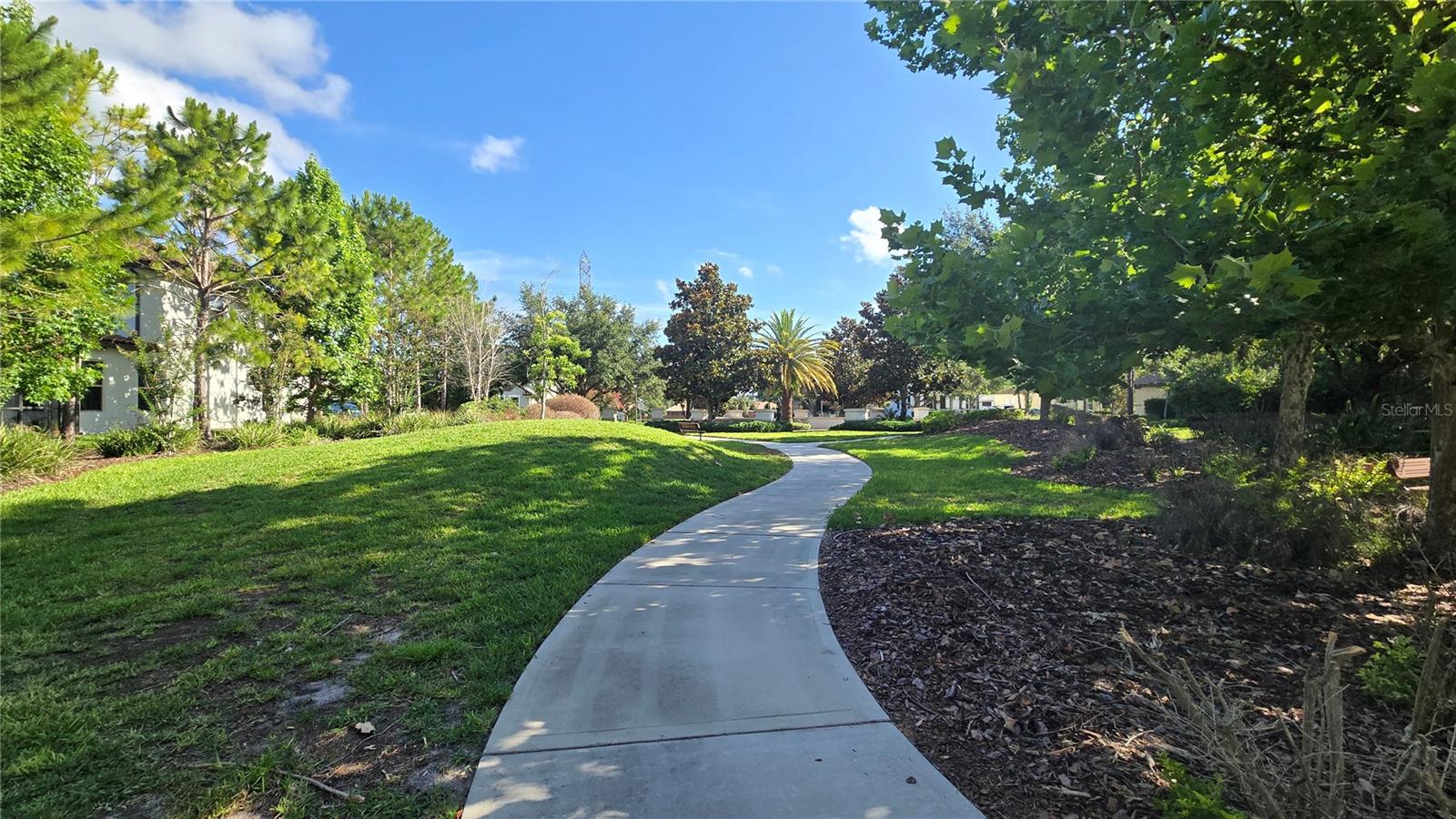 17514 BLACK RAIL ST, WINDERMERE, FL, 34786
