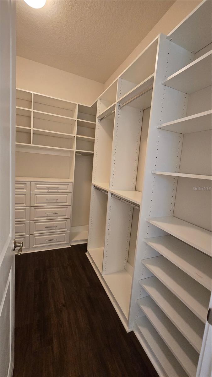 17514 BLACK RAIL ST, WINDERMERE, FL, 34786
