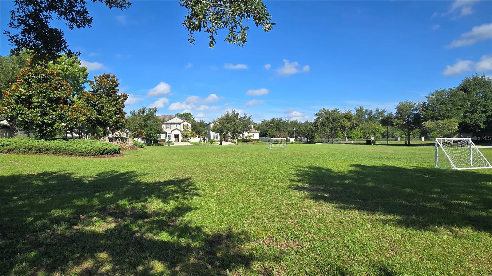 17514 BLACK RAIL ST, WINDERMERE, FL, 34786