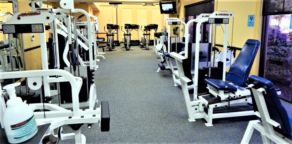 301 KINGS BLVD #138, SUN CITY CENTER, FL, 33573