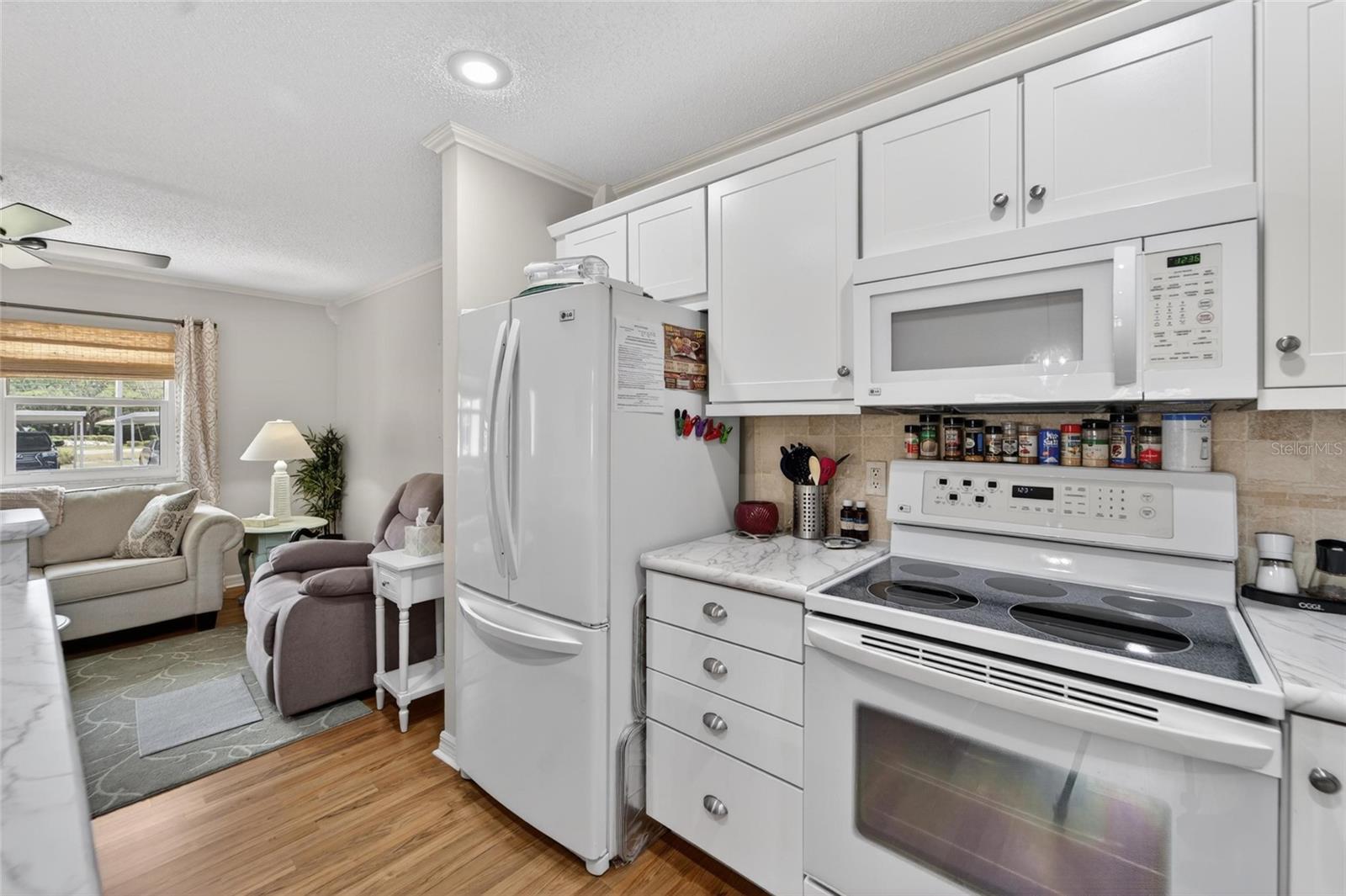 301 KINGS BLVD #138, SUN CITY CENTER, FL, 33573