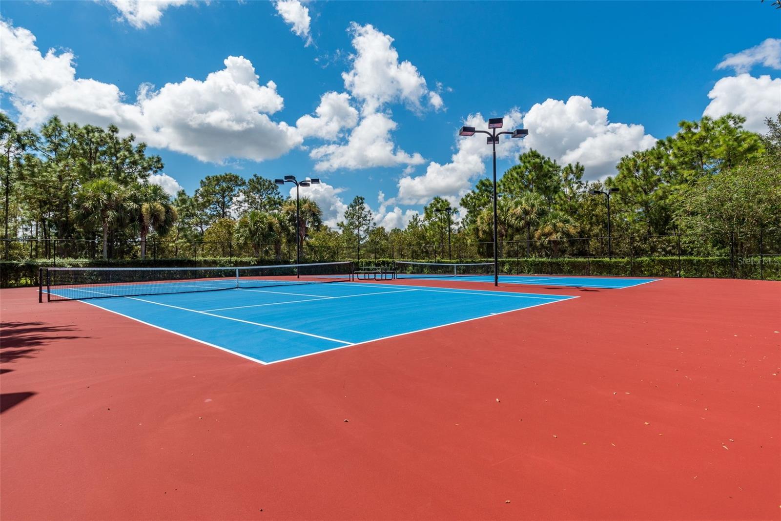 13393 GOLDEN LIME AVE, SPRING HILL, FL, 34609