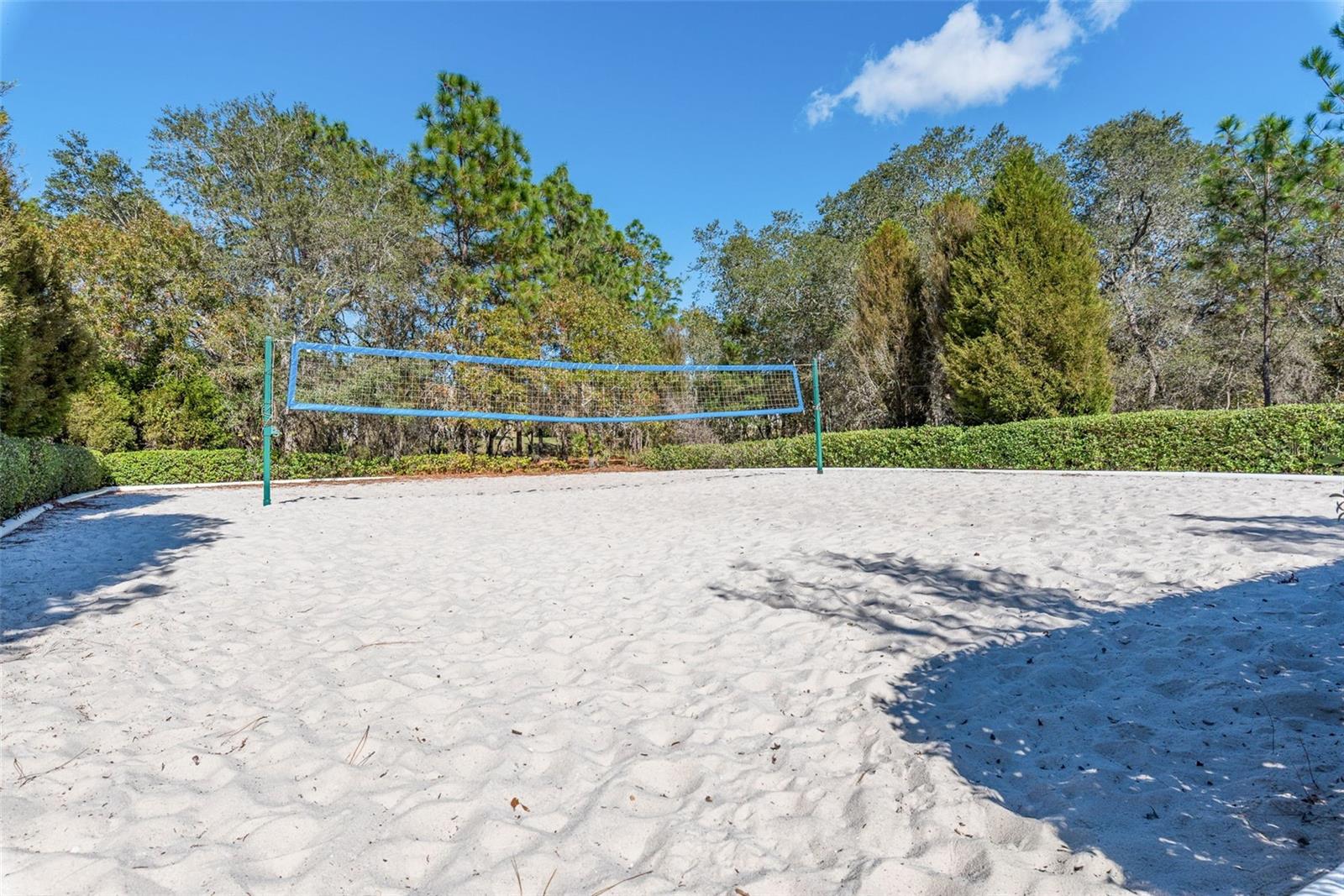 13393 GOLDEN LIME AVE, SPRING HILL, FL, 34609