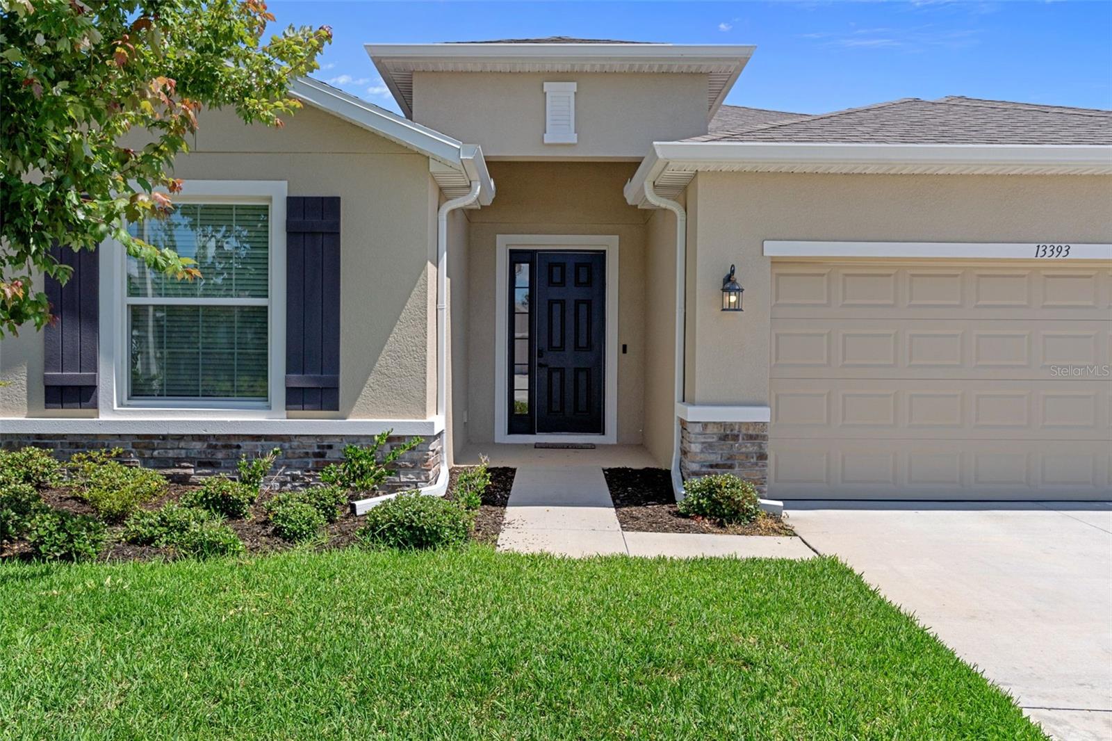 13393 GOLDEN LIME AVE, SPRING HILL, FL, 34609