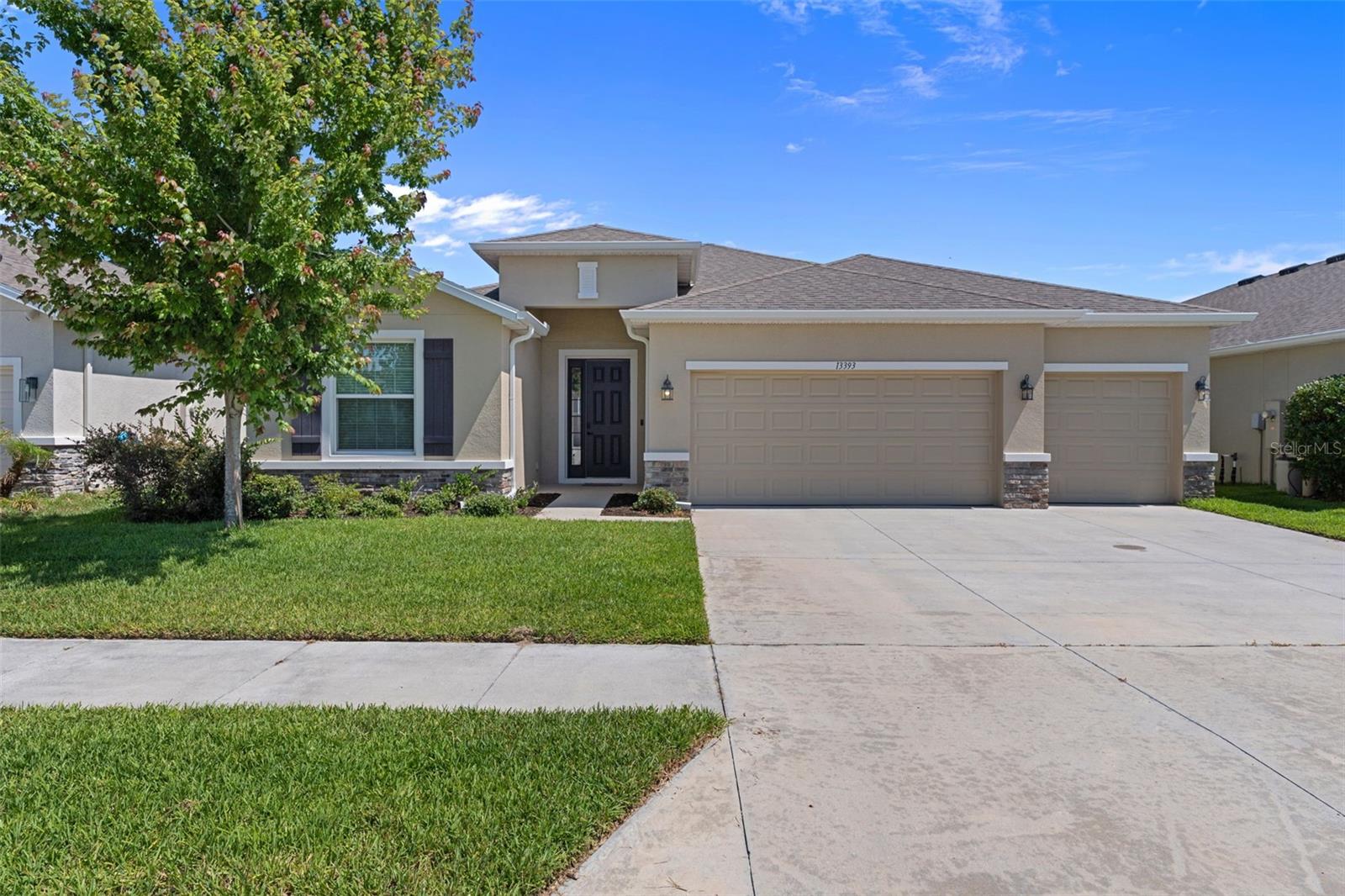 13393 GOLDEN LIME AVE, SPRING HILL, FL, 34609