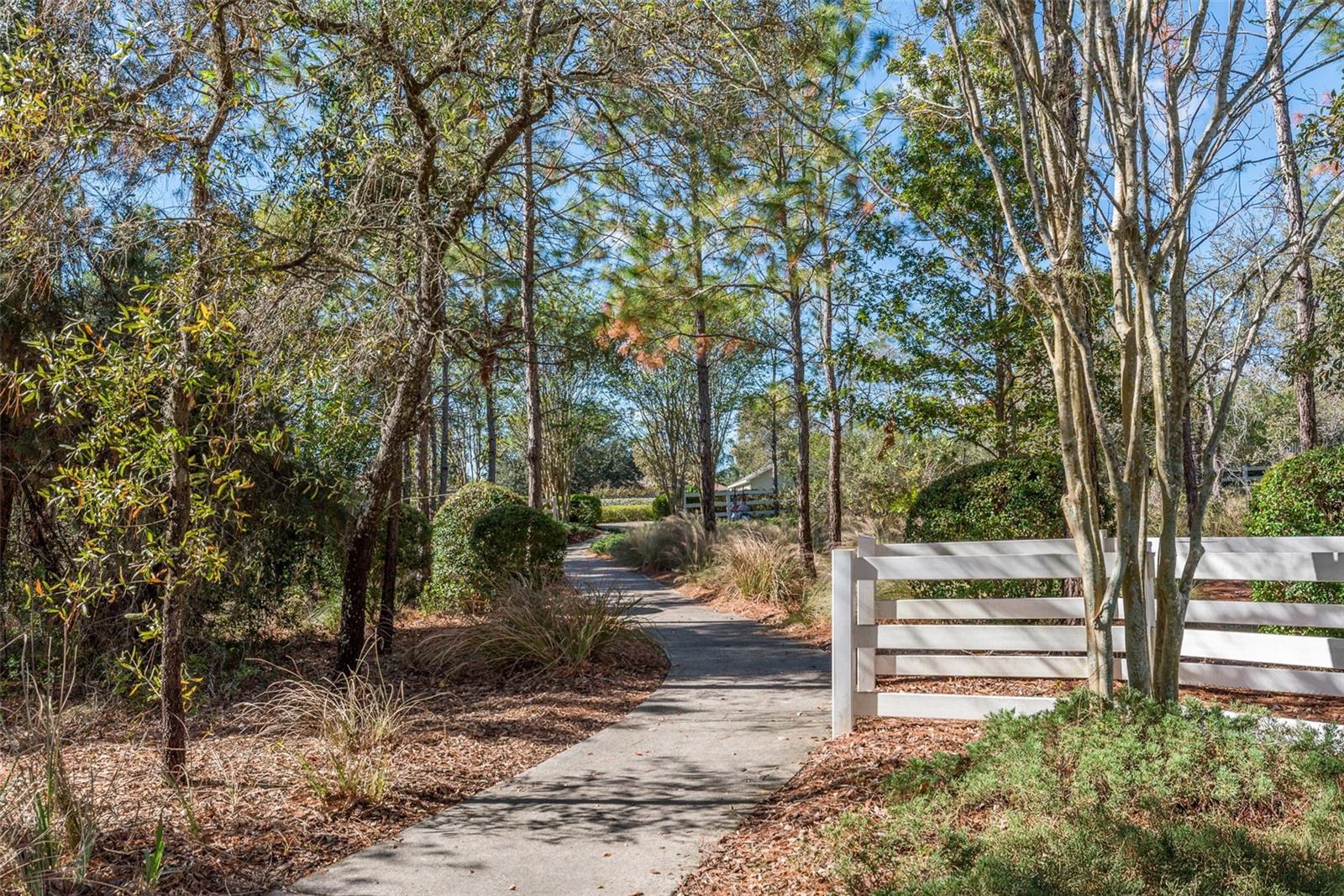 13393 GOLDEN LIME AVE, SPRING HILL, FL, 34609