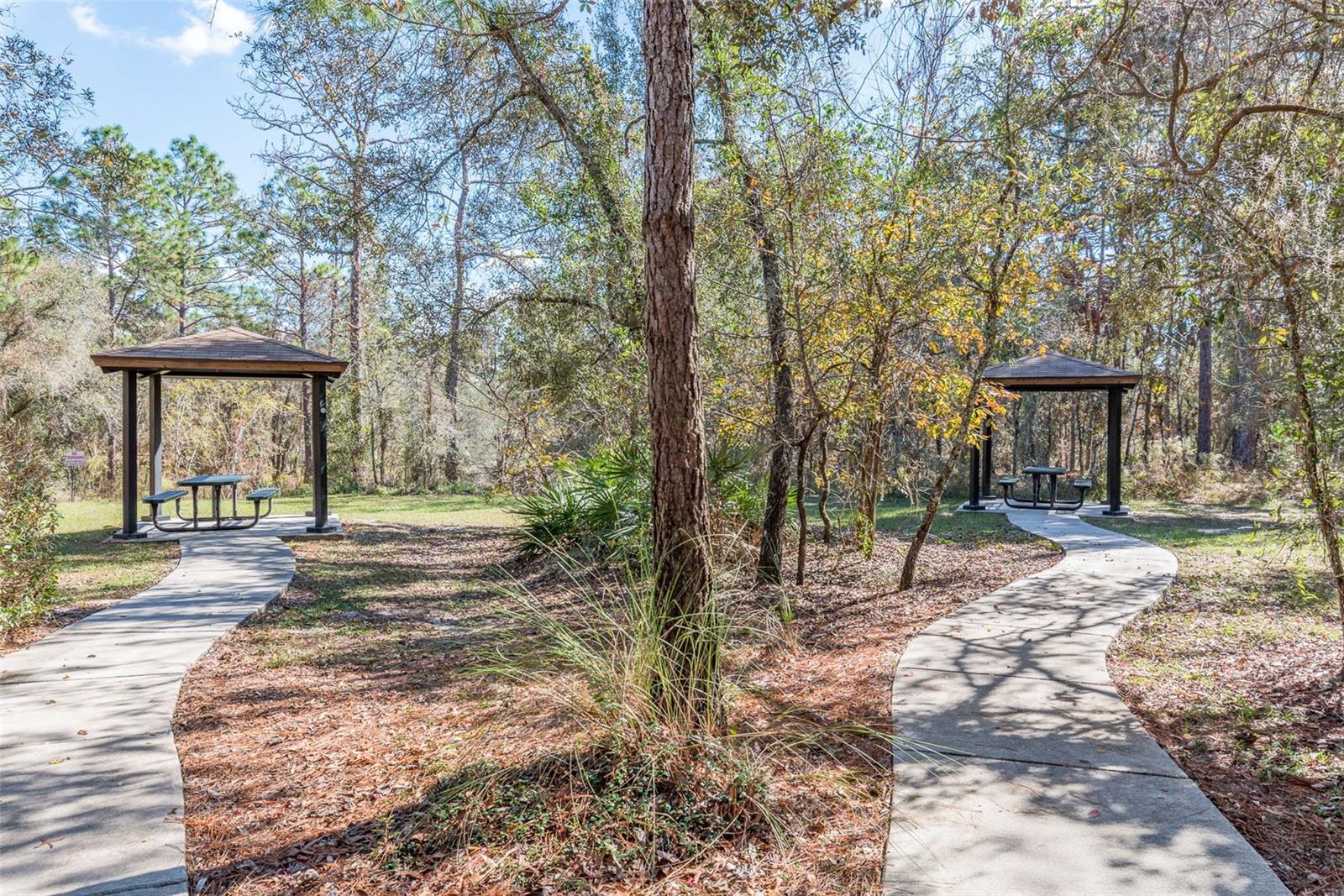 13393 GOLDEN LIME AVE, SPRING HILL, FL, 34609