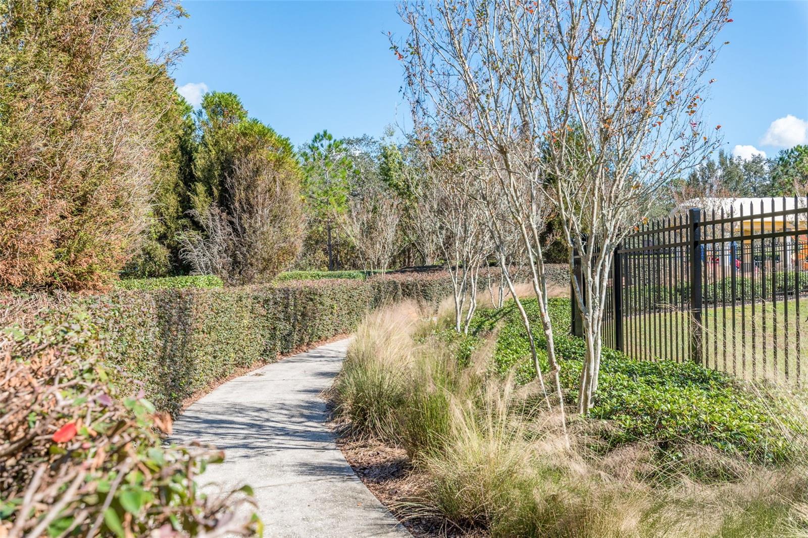 13393 GOLDEN LIME AVE, SPRING HILL, FL, 34609