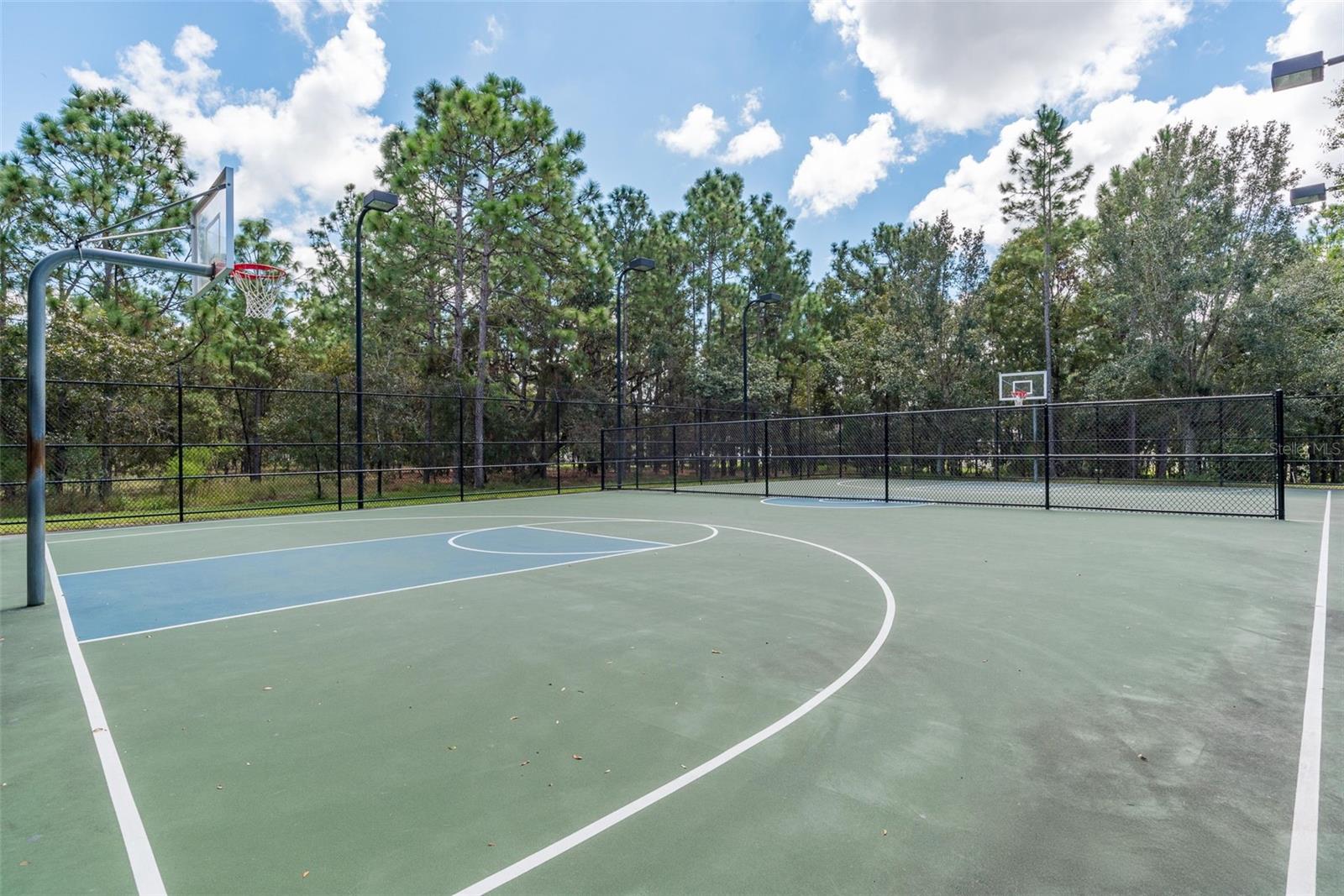 13393 GOLDEN LIME AVE, SPRING HILL, FL, 34609
