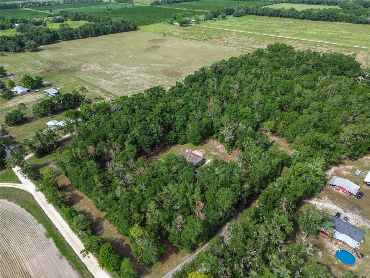 569 NW 40TH AVE, BELL, FL, 32619