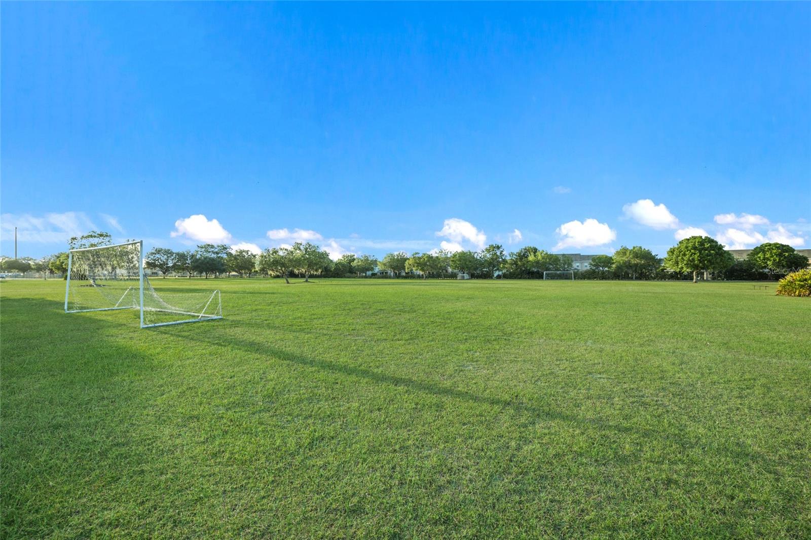 13523 BROWN THRASHER PIKE, LAKEWOOD RANCH, FL, 34202