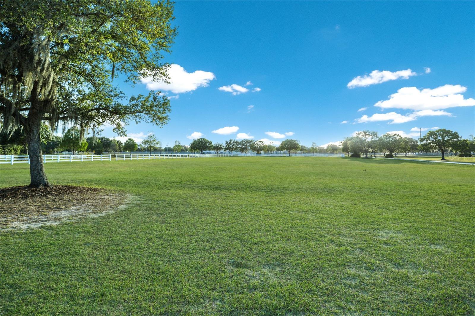 13523 BROWN THRASHER PIKE, LAKEWOOD RANCH, FL, 34202