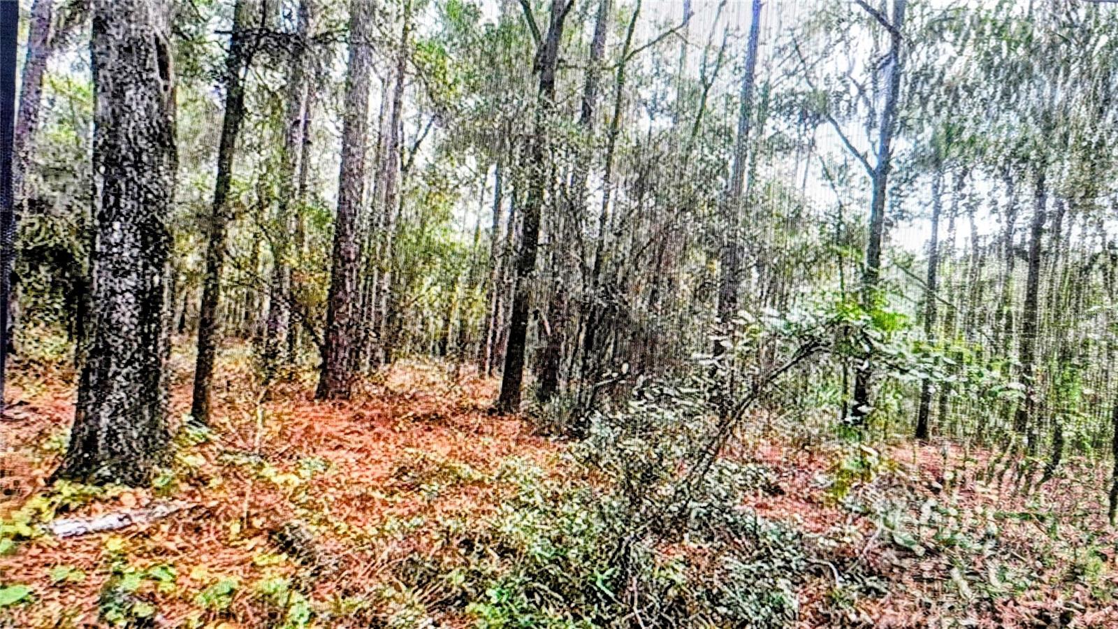 2871 W SUNKIST LN, DUNNELLON, FL, 34433