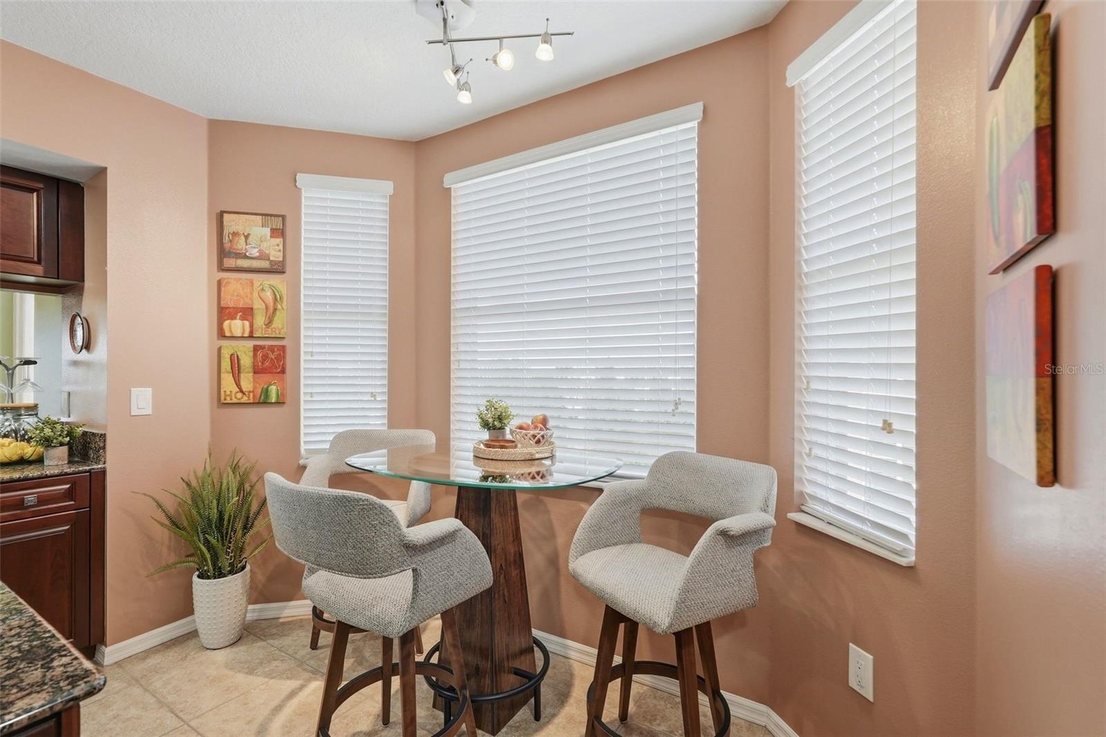 960 STARKEY RD #5406, LARGO, FL, 33771