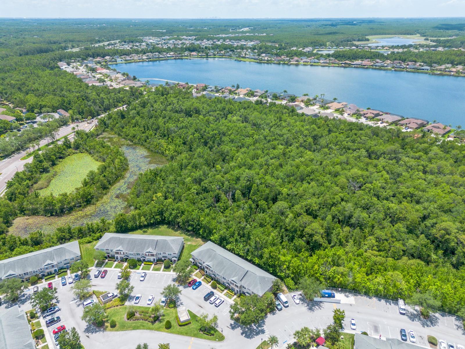 16342 ROLLINGBROOK DR, ODESSA, FL, 33556