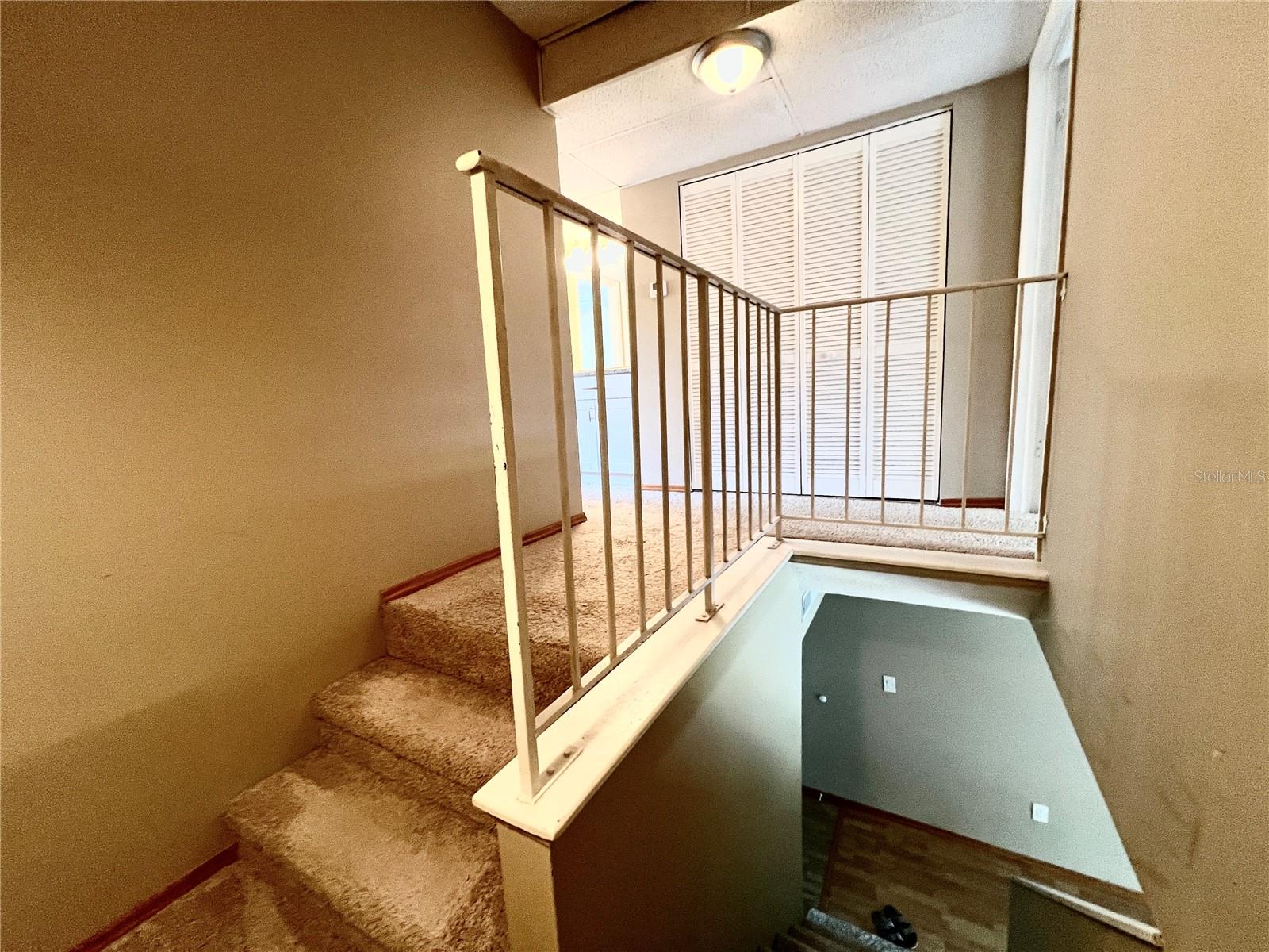 14402 REUTER STRASSE CIR #223, TAMPA, FL, 33613