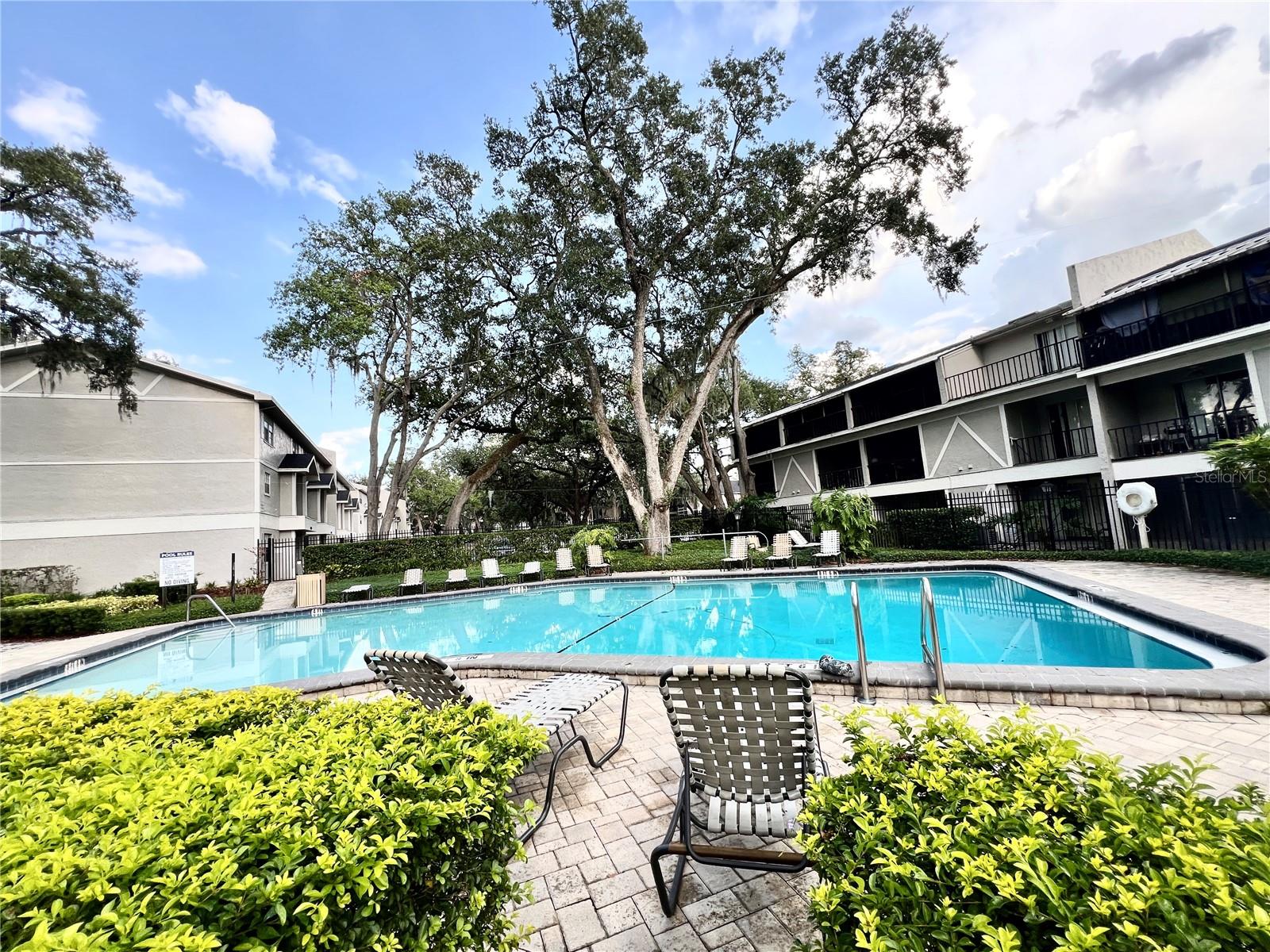 14402 REUTER STRASSE CIR #223, TAMPA, FL, 33613
