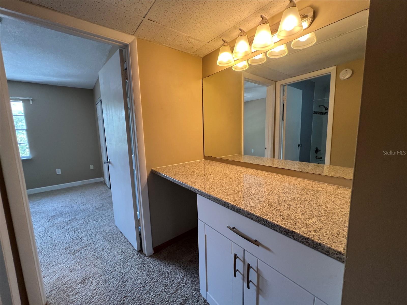 14402 REUTER STRASSE CIR #223, TAMPA, FL, 33613