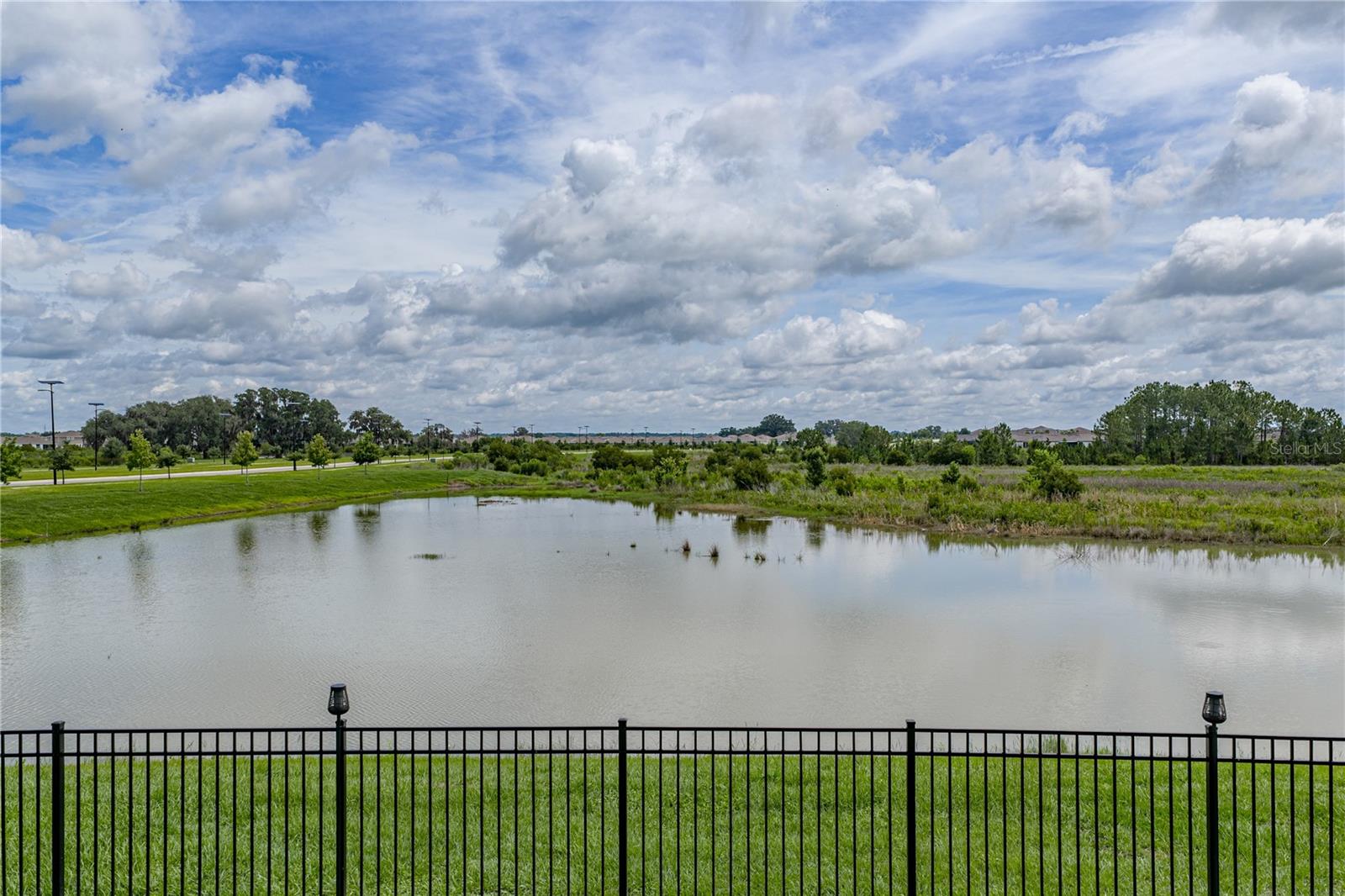 10368 FIELDSTONE MYRTLE WAY, SAN ANTONIO, FL, 33576