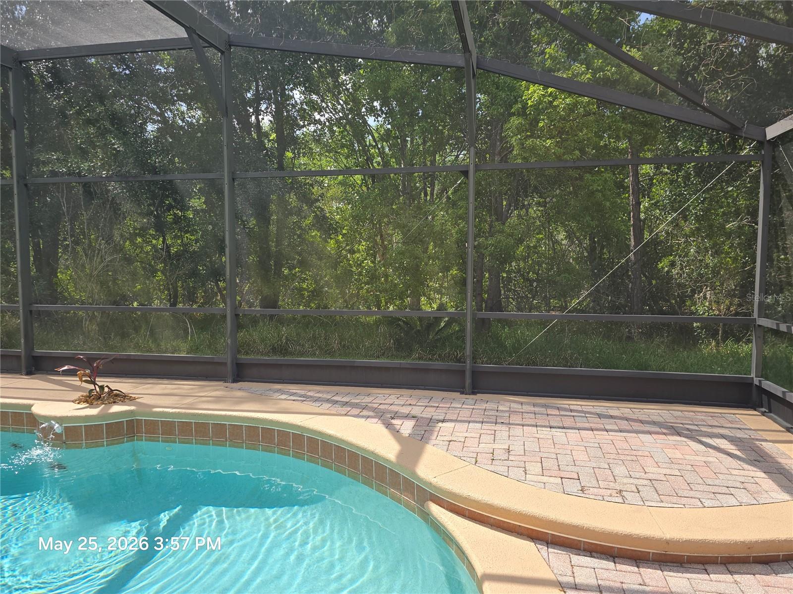 14751 SEATTLE SLEW PL, ORLANDO, FL, 32826