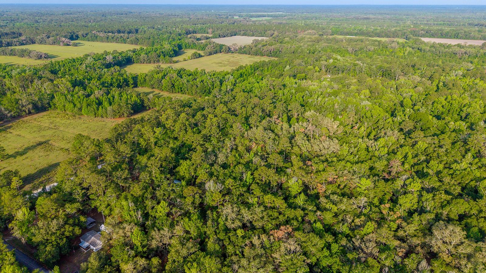 1708 NW 230TH PL, BROOKER, FL, 32622