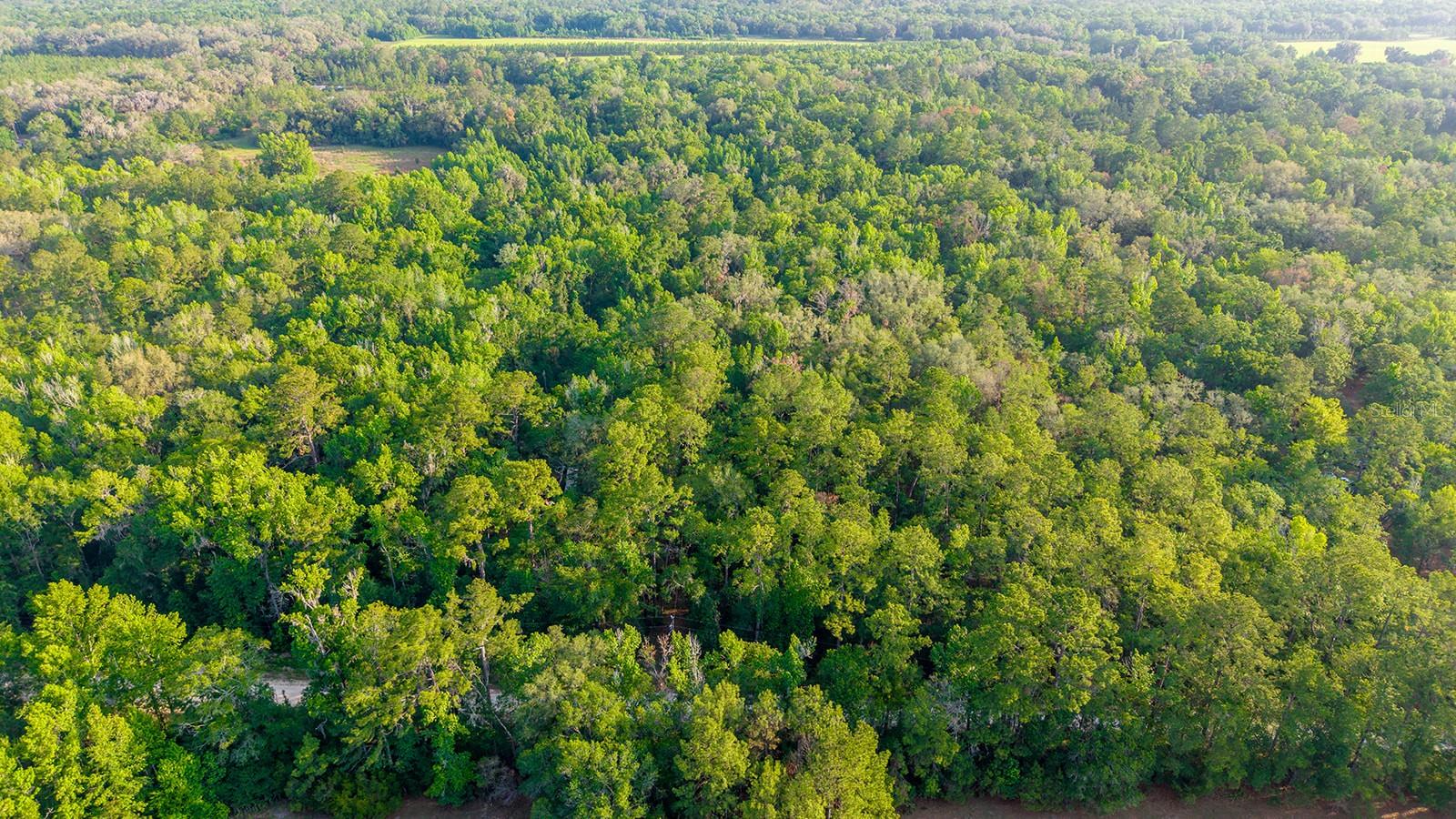 1708 NW 230TH PL, BROOKER, FL, 32622